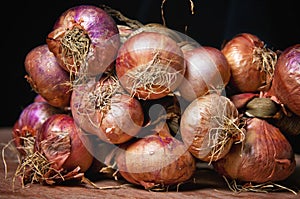 Fresh organic onions from the market