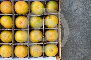 Fresh organic oranges from farm delivered good arranged in paper box