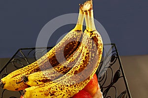  fresh organic over ripe dark brown spots yellow banana fruit on dark background