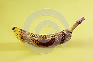  fresh organic over ripe dark brown spots yellow banana fruit on yellow background