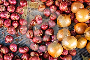 Fresh organic pile of red shallots and onions on net fabric background, selective focus, selling in market for food ingredient