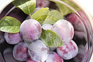 Fresh organic plums from orchard full bowl
