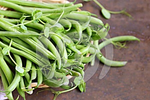 Organic pods green peas