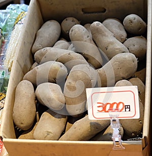 Fresh organic potato in box