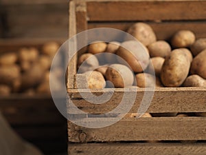 Fresh Organic Potato on Tray at the Farmer Market, Selective Focus