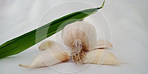 Fresh organic produce garlic  with bamboo leaf in white background