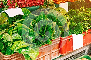 Fresh organic produce at the local farmers market. Farmers ` markets are a traditional way of selling agricultural products.