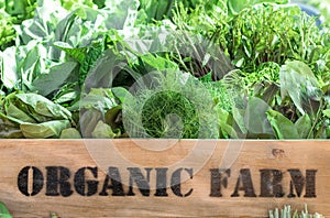 Fresh organic produce in wooden box