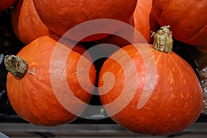 Fresh organic pumkin in chinese halloween store photo