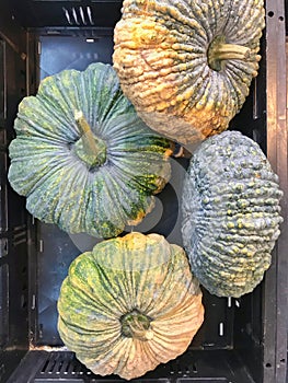 Fresh organic pumpkins