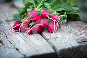Fresh organic radish on a old wooden background