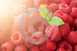 Fresh organic raspberries with mint leaves. Fruit background with copy space. Summer and berries harvest concept. Vegan