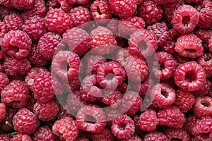 Fresh organic raspberry background