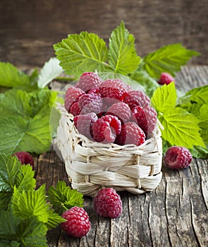 Fresh organic raspberry in basket.