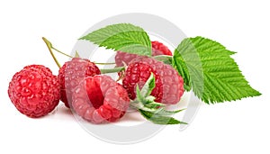 Fresh Organic Raspberry With Green Leaf on White