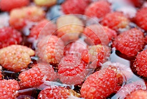 Fresh organic raspberry in a water