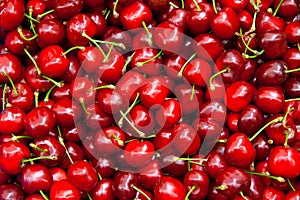 Fresh Organic Red Cherries