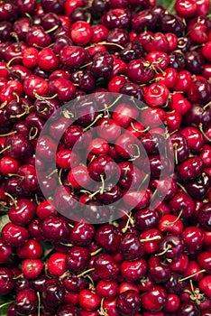 Fresh organic red cherries on display