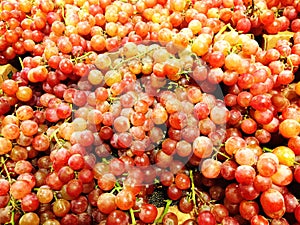 Fresh Organic Red Grapes