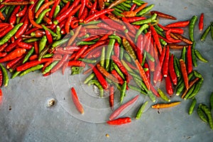 Fresh organic red and green color hot chillies on grey table background with copy space selling in local market for spicy food