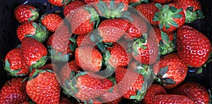 Fresh organic red strawberries as background. Strawberry pattern