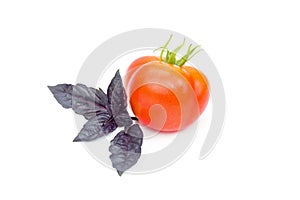 Fresh organic red tomato and violet, purple basil leaf, salad ingredients, object isolated on white background