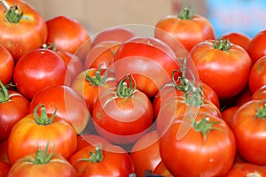 Fresh organic red tomatoes