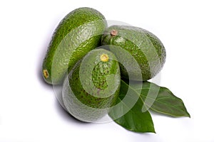 Fresh organic ripe green Fuerte avocado with leaves, copy space photo