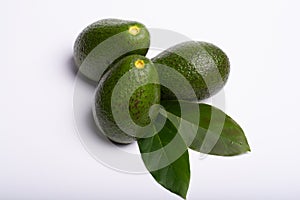 Fresh organic ripe green Fuerte avocado with leaves, copy space photo