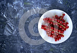 Fresh organic ripe red currant berries on grey white background. White plate with natural ripe organic berries with peduncles on o