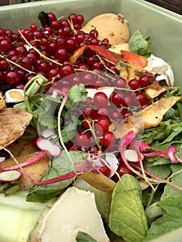 Fresh organic rubbish with currants