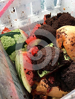 Fresh organic rubbish with currants in a small plastic bucket for recycling