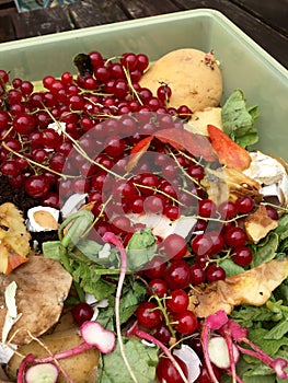 Fresh organic rubbish with red currants in a small plastic bucket for recycling