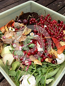 Fresh organic rubbish with red currants in a small plastic bucket for recycling