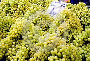 Fresh Organic Seedless Green Grapes