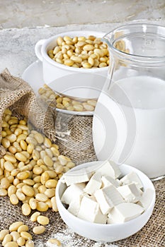 Fresh organic soy products:soy milk, soy yogurt, soy chese tofu