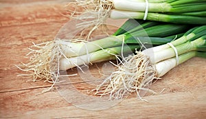 Fresh organic spring onions