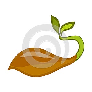 Fresh organic sprout