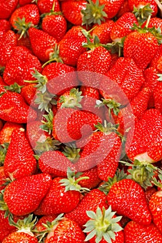 Fresh organic strawberries