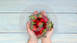 Fresh and organic strawberries filling woman`s hands - Stop motion