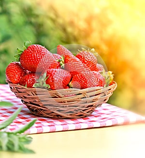 Fresh organic strawberry