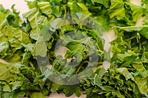 Fresh organic Super food Kale leaf.