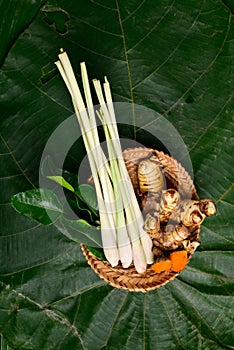 Fresh organic Thai spices lemon grass, galangal, kaffir lime leaf and turmeric