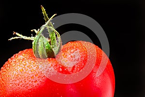 Fresh organic tomato