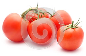 Fresh organic tomato