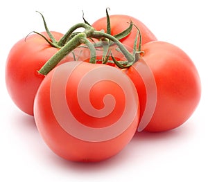 Fresh organic tomato