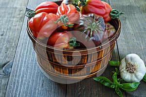 Fresh Organic Tomatoes in a basket and basil with garlik on a wooden table.