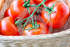 Fresh organic tomatoes in a basket. Close up