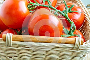 Fresh organic tomatoes in a basket. Close up