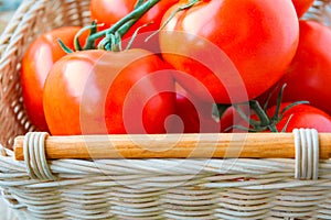 Fresh organic tomatoes in a basket. Close up